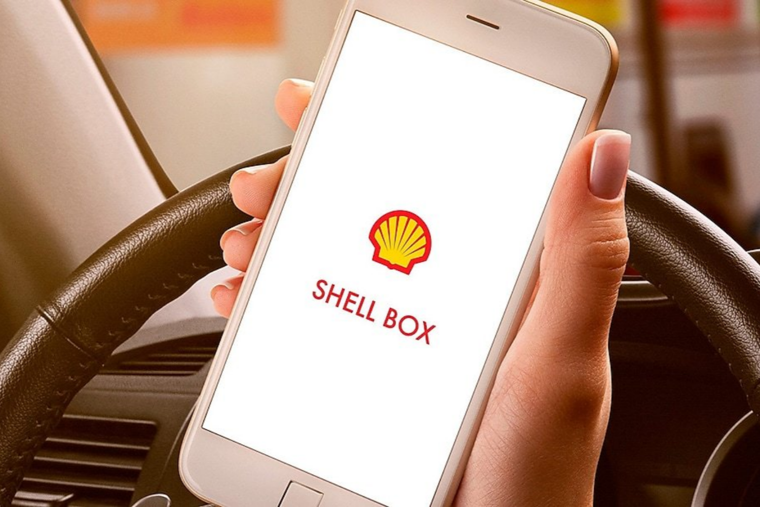 Shell Box