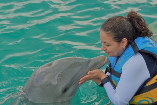 Nadar com golfinhos é umas das experiências imperdíveis de Cancún