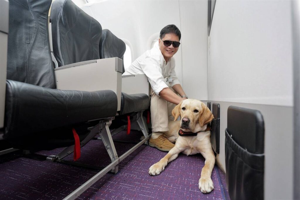 Apenas cães-guia ou de apoio emocional podem viajar fora da caixa na cabine do avião