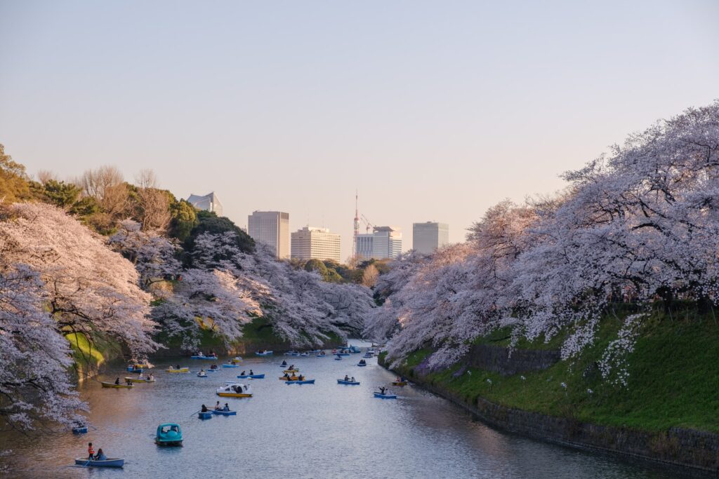 A primavera é uma época bem especial para visitar Tóquio