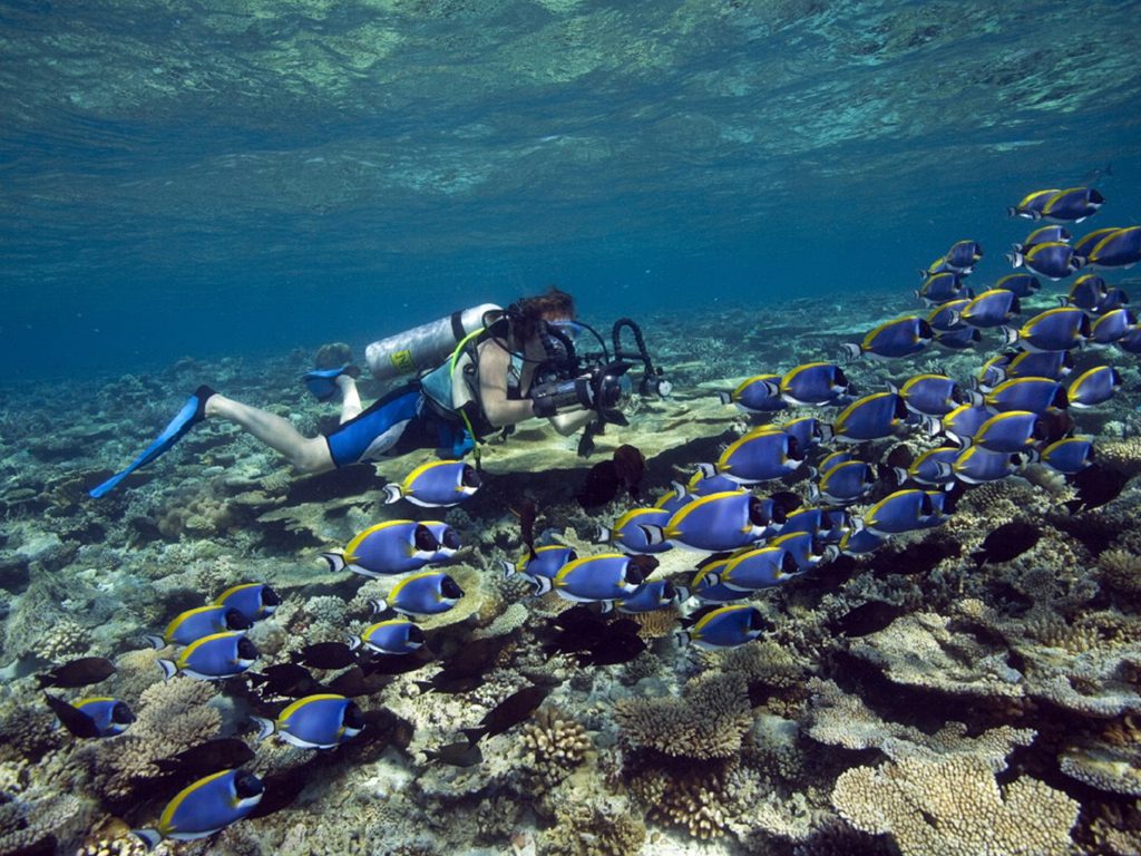 Snorkeling Maldivas