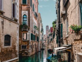pexels-david-bartus-586687