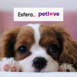 Cachorro com logo Esfera Petlove