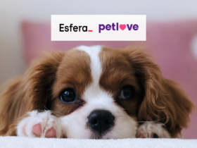 Cachorro com logo Esfera Petlove