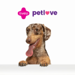 cachorro com logo Livelo e Petlove