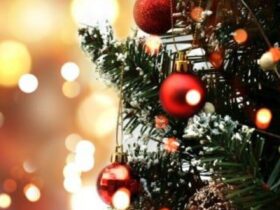 natal-1
