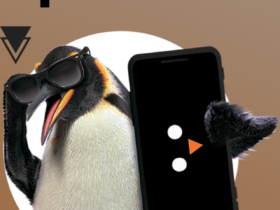 ponto-frio-pinguim-aplicativo