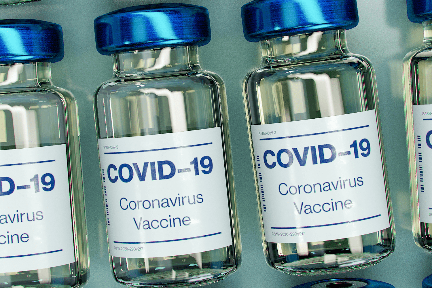 comprovante de vacina covid 19