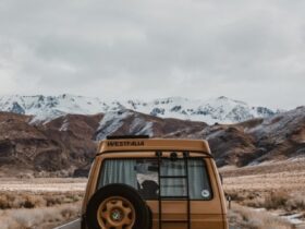 paje-victoria-2oYHfuRe4OU-unsplash