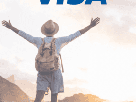 visa seguros 3
