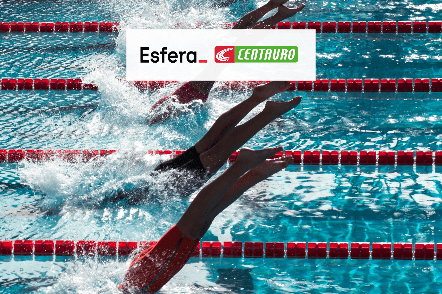 Nadadores saltando na piscina com logo Esfera e Centauro 6 pontos Esfera