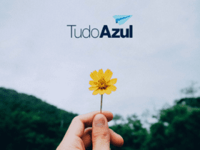 mão segurando um girassol com logo TudoAzul Clube TudoAzul