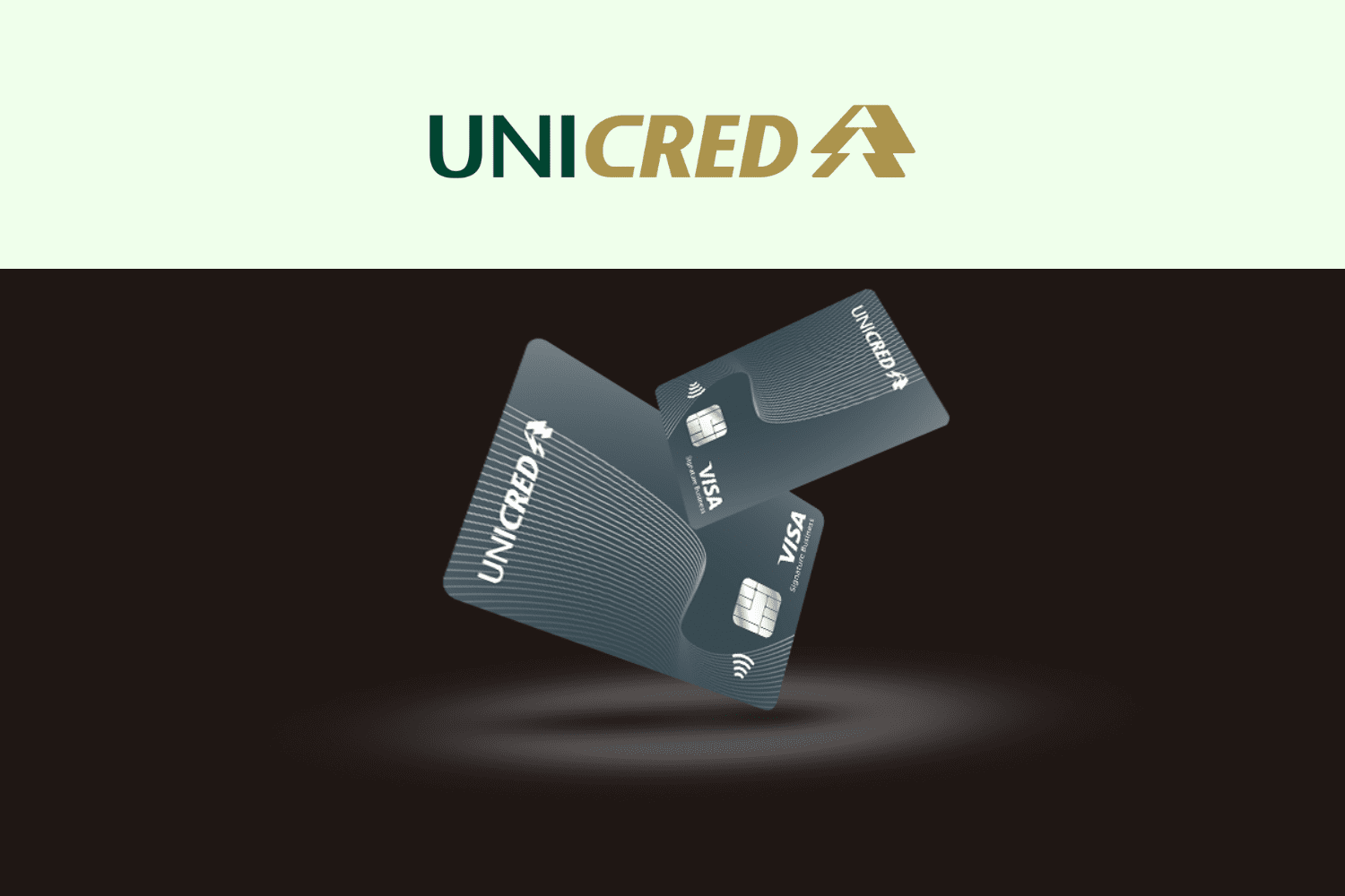 cartões Unicred Visa Signature Business