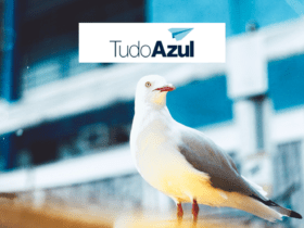 pombo branco olhando para o lado com logo TudoAzul bônus TudoAzul