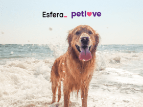 cachorro saindo da água da praia com logo Esfera e Petlove 10 pontos Esfera