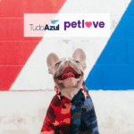 cachorro sorrindo com logo TudoAzul e Petlove 12 pontos TudoAzul