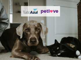 cachorro com gato e logo TudoAzul e Petlove 12 pontos TudoAzul