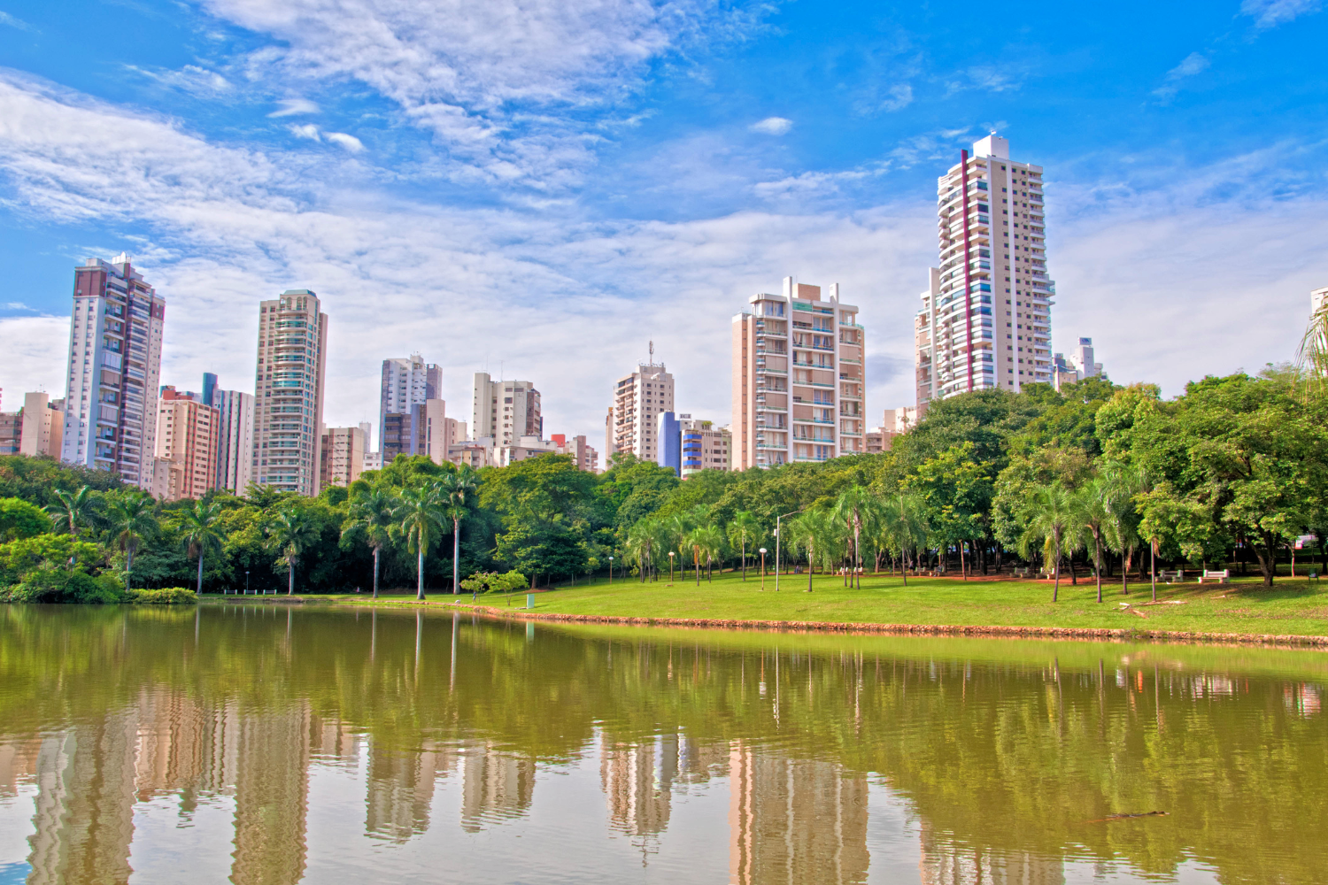 o que fazer em goiania