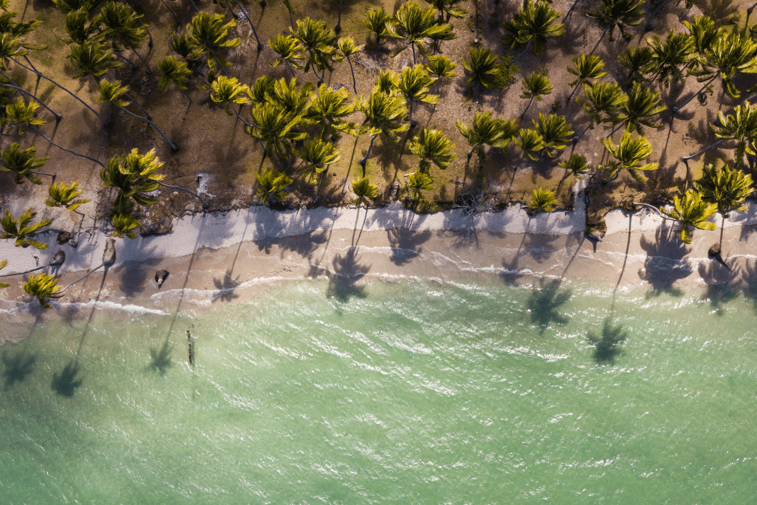 Top 10 melhores praias do Nordeste brasileiro