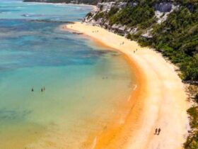 cropped-praia-do-espelho-capa2019.jpg