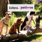 18 pontos esfera