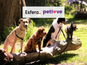 18 pontos esfera