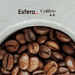 12 pontos esfera
