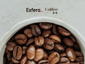 12 pontos esfera