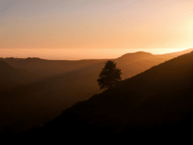 vista de paisagem com uma árvore e sol na lateral promoções