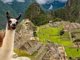 cropped-Paises-que-nao-precisam-de-passaporte-Peru.jpg