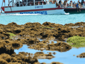 cropped-Piscinas-Naturais-do-Seixas-Joao-Pessoa-4.png
