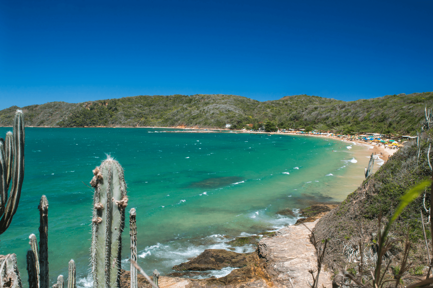 Praia da Tartaruga - Búzios guia completo