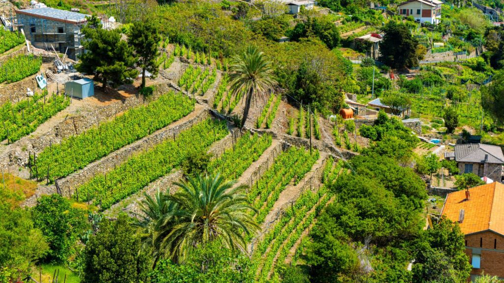 O que fazer em Cinque Terre, Itália: guia completo