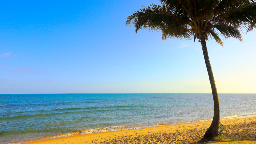 Tudo o que você precisa saber sobre a Praia dos Coqueiros em Trancoso