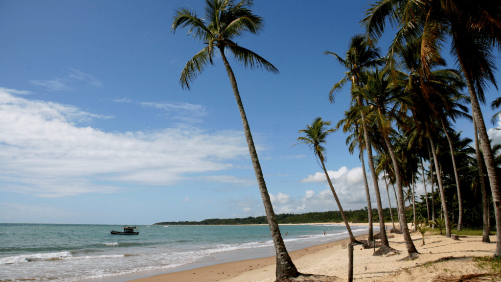 Tudo o que você precisa saber sobre a Praia dos Coqueiros em Trancoso