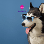Na imagem, vemos um cão da raça Husky Siberiano usando óculos de sol azuis, com a língua para fora, o que confere uma aparência divertida e descontraída. O fundo azul complementa o visual do cachorro e realça os óculos. Acima da cabeça do cão, estão os logotipos da Livelo e da Petlove, indicando uma possível parceria ou promoção envolvendo produtos para pets.