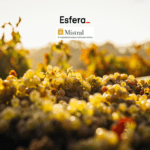 11 pontos esfera
