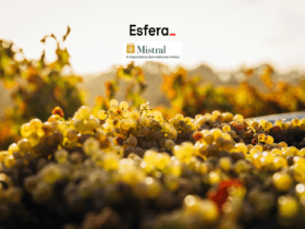 11 pontos esfera
