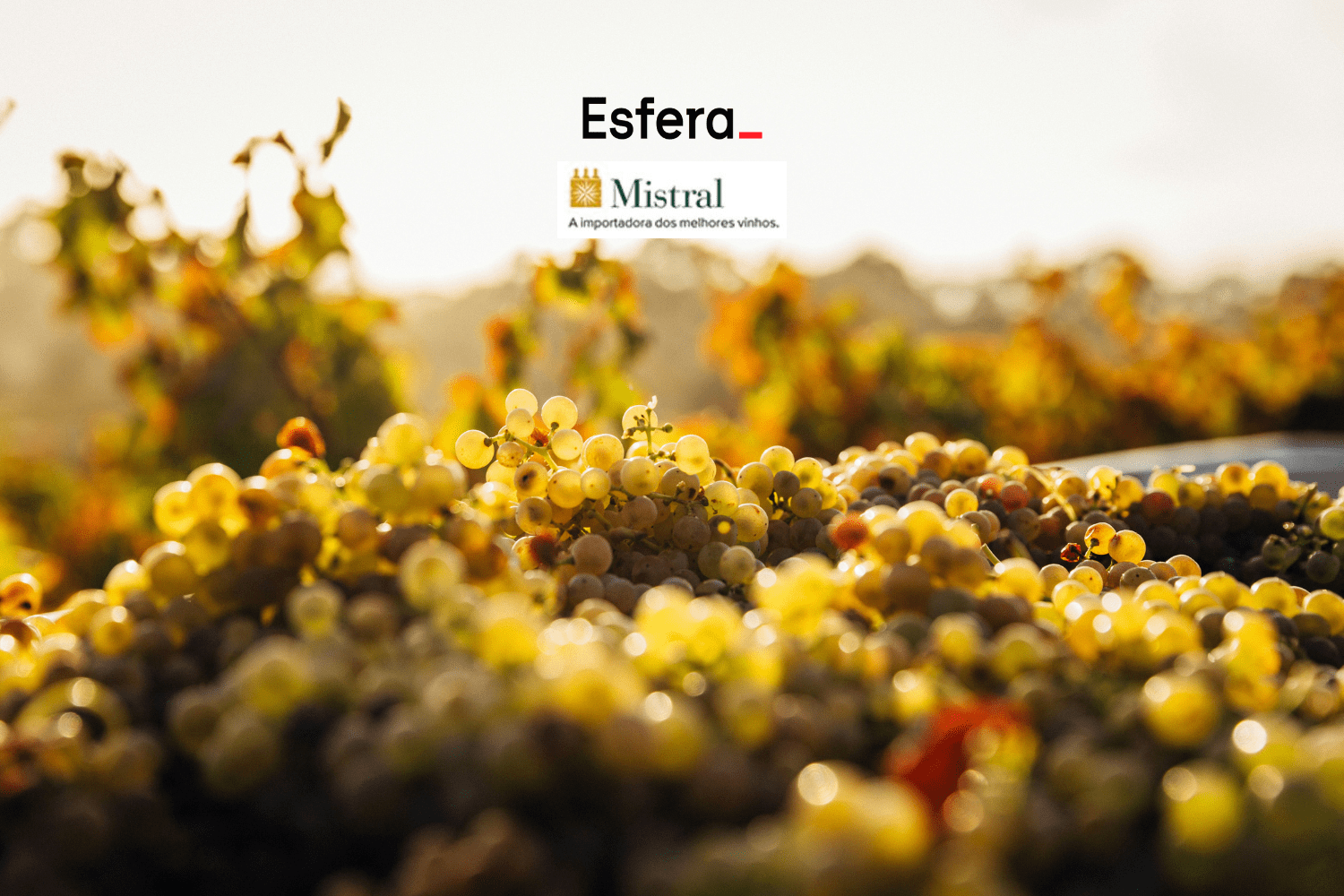 11 pontos esfera