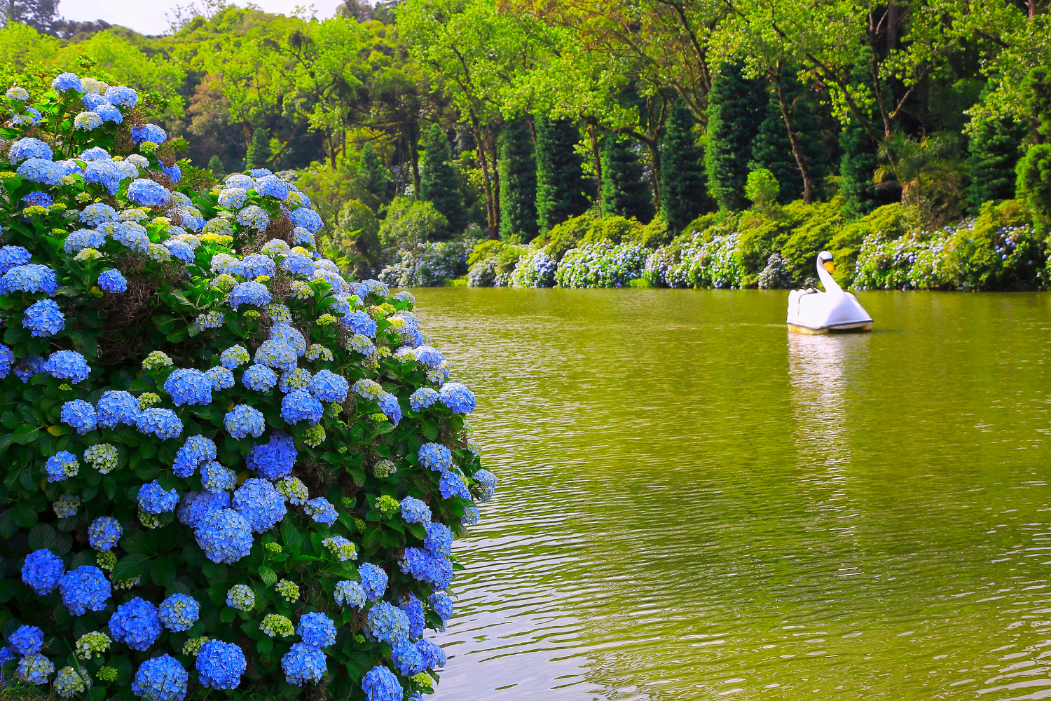 Lago Negro em Gramado - imagem agustavop