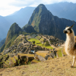 Onde fica Machu Picchu Descubra como chegar na cidade inca