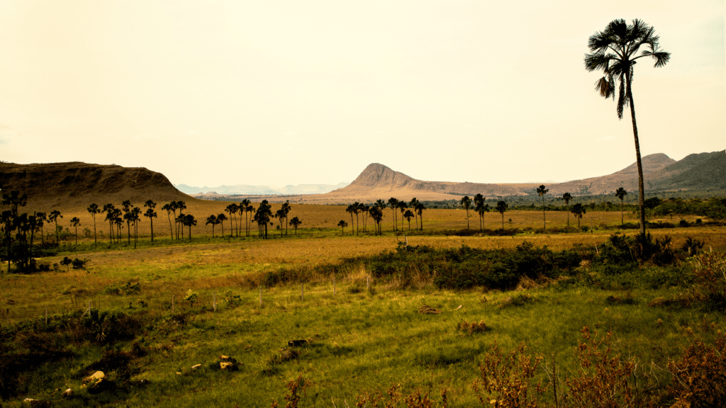  Chapada dos Veadeiros: onde fica e como chegar no paraíso