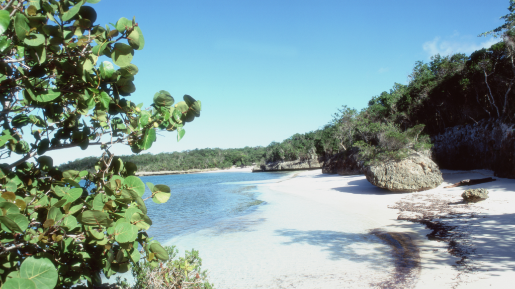 Playa Paraíso, Cayo Largo - imagem: eliecer65