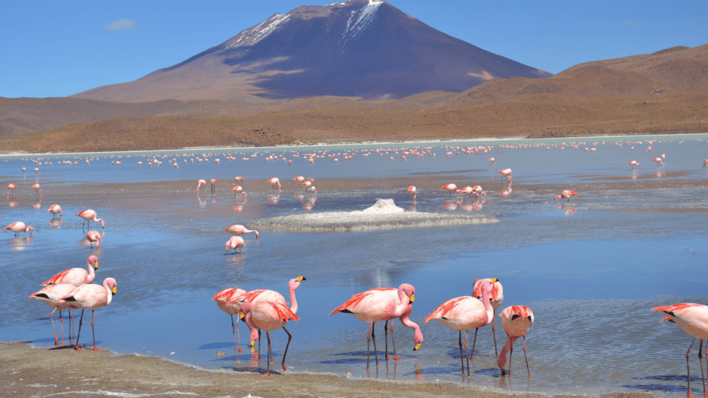 Salar de Uyuni - imagem por rosana oliveira
