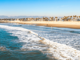 Venice Beach - Imagem peeterv