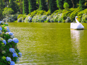Lago Negro em Gramado - imagem agustavop