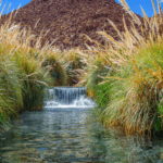 termas de puritama - imagem Delpixart