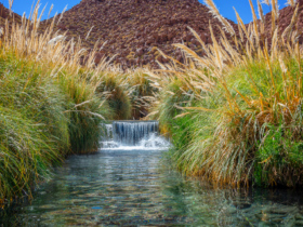 termas de puritama - imagem Delpixart