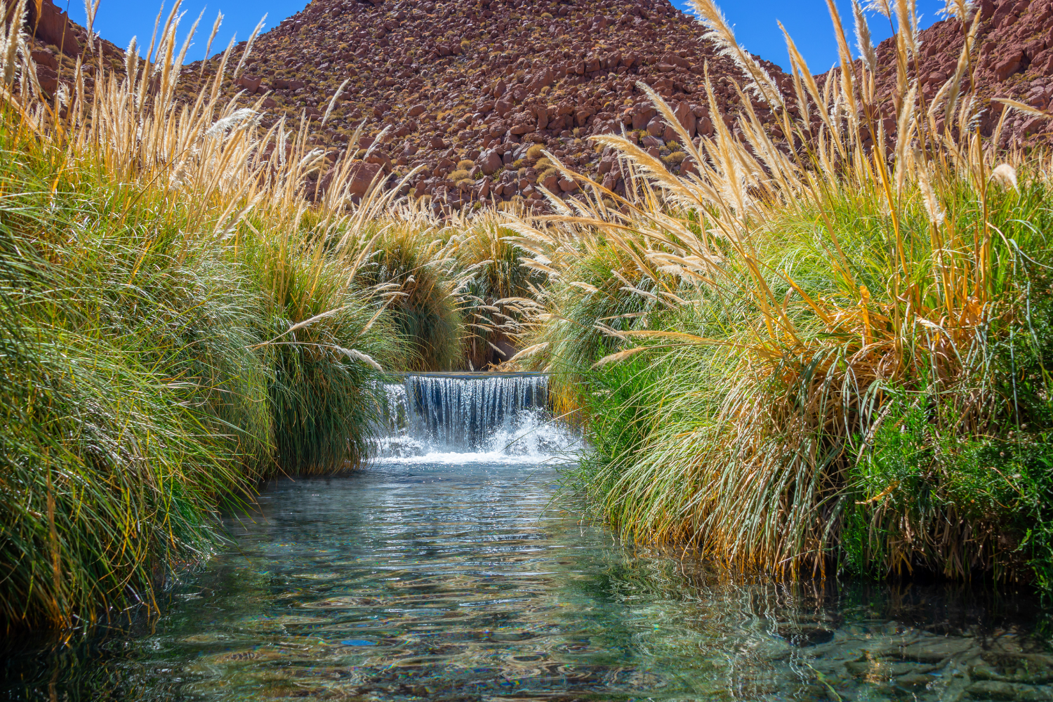 termas de puritama - imagem Delpixart