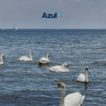 Clube azul